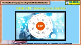 Callidus ERP Technology Users Email List