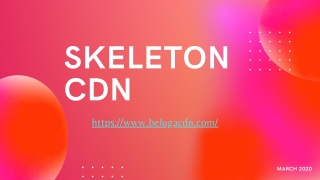 Features of Skeleton CDN