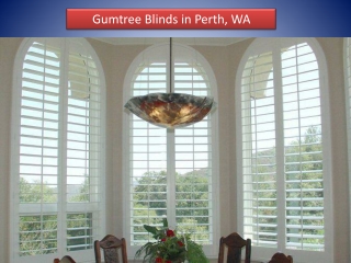 Gumtree Blinds in Perth, WA