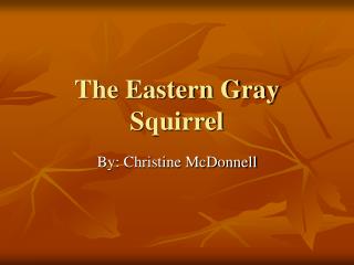 The Eastern Gray Squirrel