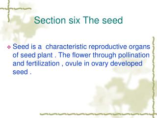 Section six The seed