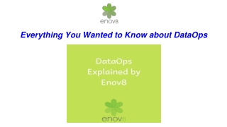 Everything You Wanted to Know about DataOps