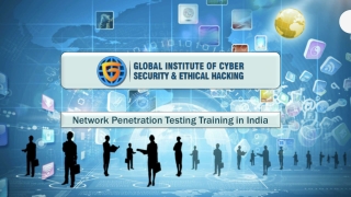 Network Penetration Testing Training in India