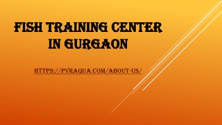 Fish Training center in Gurgaon