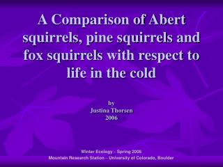 A Comparison of Abert squirrels, pine squirrels and fox squirrels with respect to life in the cold by Justina Thorsen 2