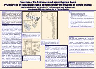 Results: Phylogenetic analyses: MP and MCMC resolved the same major clades. Xerus erythropus is basal to the remain