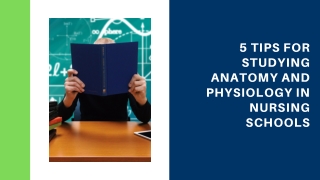 5 Tips for Studying Anatomy And Physiology in Nursing Schools