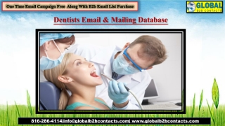 Dentists Email & Mailing Database