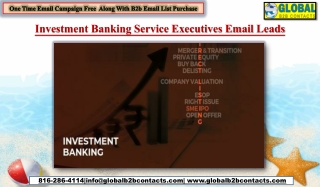 Investment Banking Service Executives Email Leads