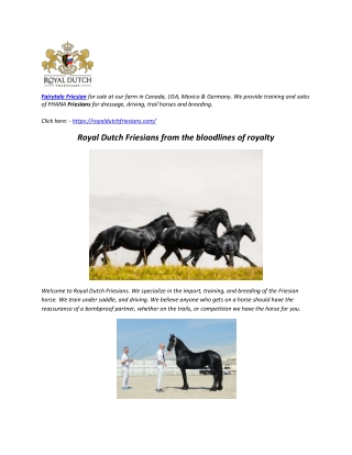 Fairytale Friesian