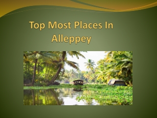 The Places You Should Not Miss In Queen Of Backwater Alleppey