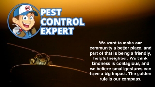 Pest Management Services in Middle Island - Pest Control Expert