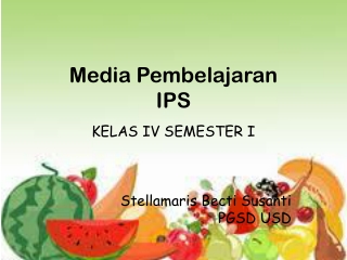 media IPS