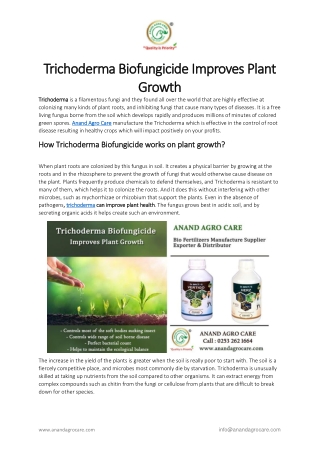 Trichoderma biofungicide Improves Plant Growth