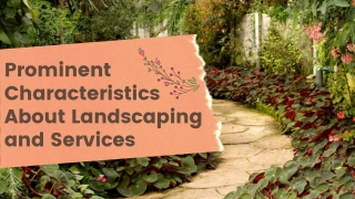 Get Affordable Landscaping Services