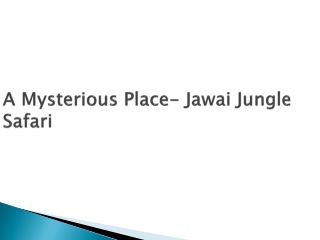 A Mysterious Place- Jawai Jungle Safari