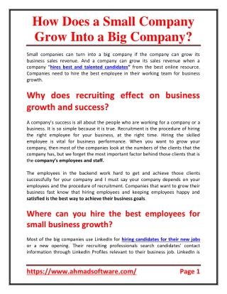 How do small company grow into a big company