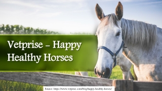 Vetprise - Happy Healthy Horses