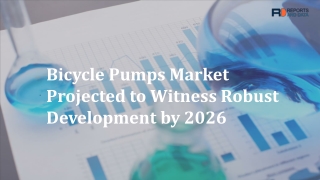 Bicycle Pumps Market 2019: Industry Analysis, Top Players, Latest Developments in Manufacturing Technology and Cost Stru