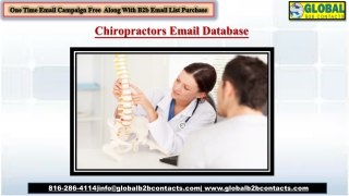 Chiropractors Email Database