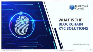 What is the Blockchain KYC Solutions?