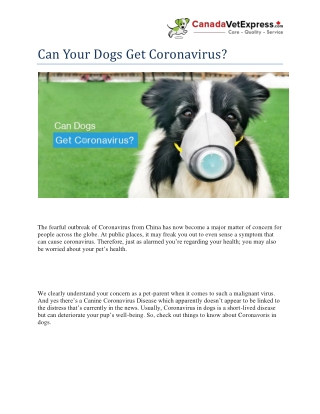 Can Your Dogs Get Coronavirus? - CanadaVetExpress