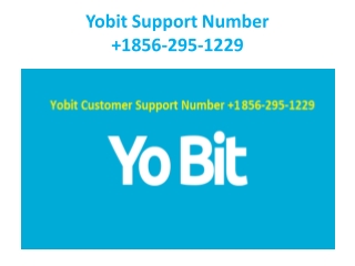 Yobit Support Phone Number   1856-295-1229