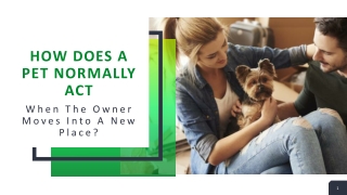 How Does A Pet Normally Act When The Owner Moves Into A New Place?