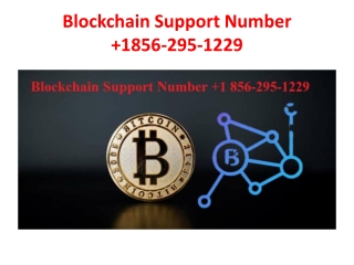 Blockchain Support Number  1856-295-1229