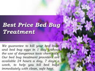 Bed Bug Exterminator at an affordable price