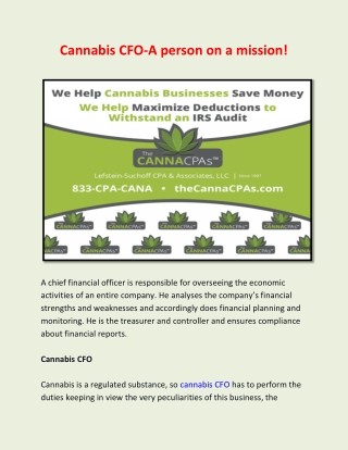 Cannabis CFO-A person on a mission!