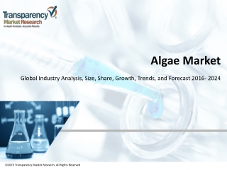 GLOBAL ALGAE MARKET TO RISE AT 7.39% CAGR