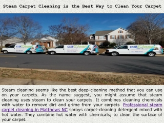 Steam Carpet Cleaning is the Best Way to Clean Your Carpet