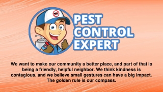 Pest Control, Inspection Specialist in Cohoes - Pest Control Expert