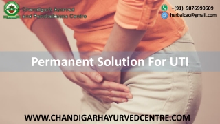 Ayurvedic Medicine for urinary tract infection ( UTI )