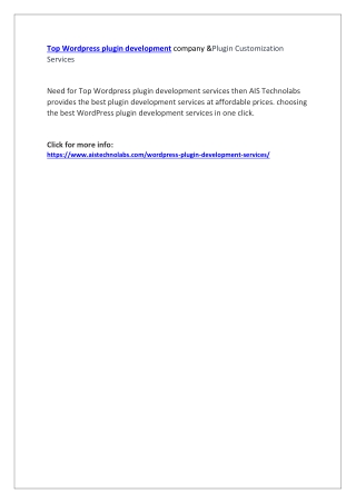 Top Wordpress plugin development company &Plugin Customization Services