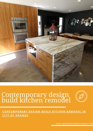 Contemporary design build kitchen remodel