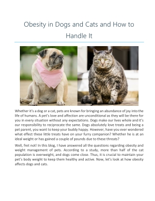 Obesity in Dogs and Cats and How to Handle It