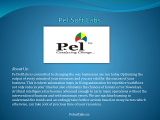 Pel Softlabs