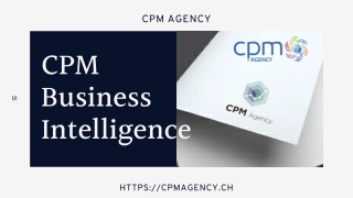 Similitudes entre CPM Business Intelligence - CPM Agency