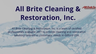 Mold Removal Belmont