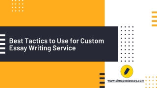 Best Tactics to Use for Custom Essay Writing Service