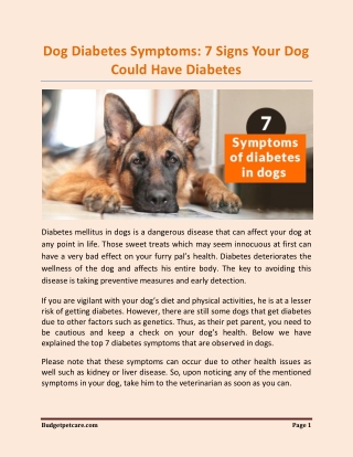 Dog Diabetes Symptoms: 7 Signs Your Dog Could Have Diabetes