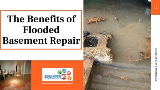 Flood Damage Recovery Company | Disaster MD Restoration