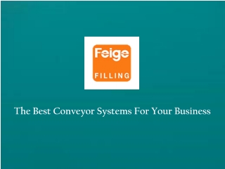 Belt and Roller Conveyor System