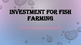 Investment for fish farming