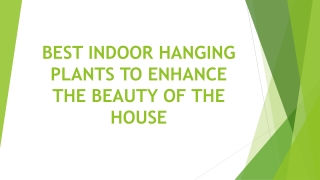 BEST INDOOR HANGING PLANTS TO ENHANCE THE BEAUTY OF THE HOUSE