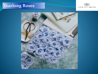 Yearlong Roses