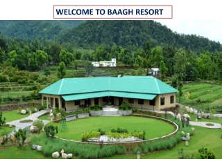 Corporate Team Outing in Jim Corbett – Corbett The Baagh Spa & Resort