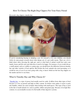 How To Choose The Right Dog Clippers For Your Furry Friend